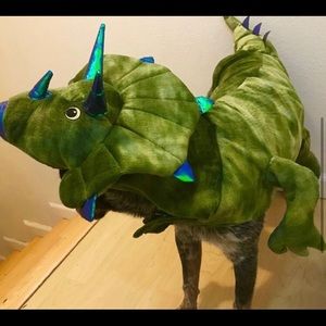 Dog dinosaur costume
